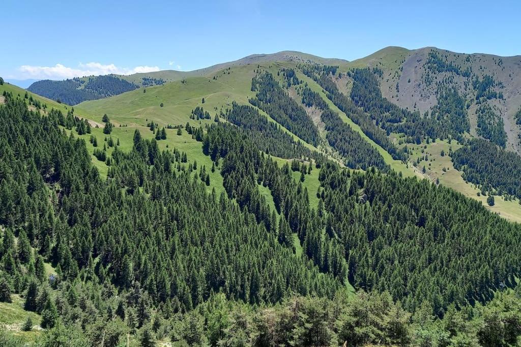 Studio Au Coeur De Valberg A Proximite Des Pistes Dış mekan fotoğraf