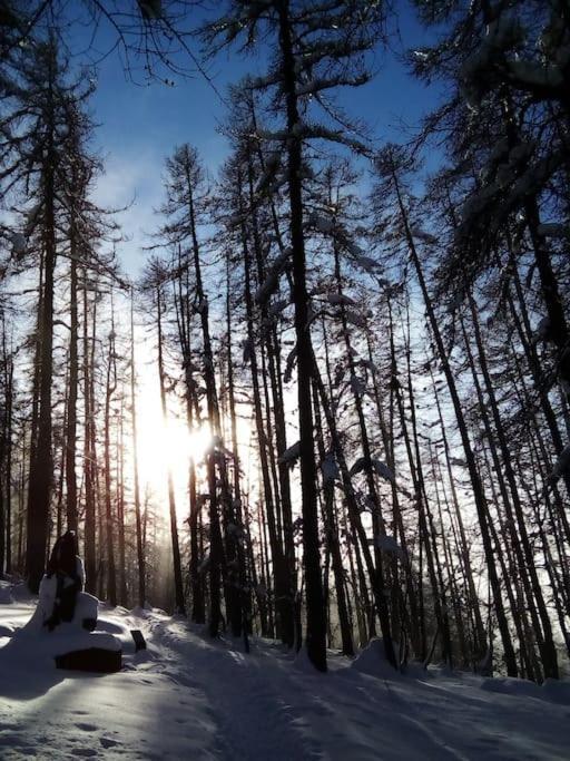 Studio Au Coeur De Valberg A Proximite Des Pistes Dış mekan fotoğraf